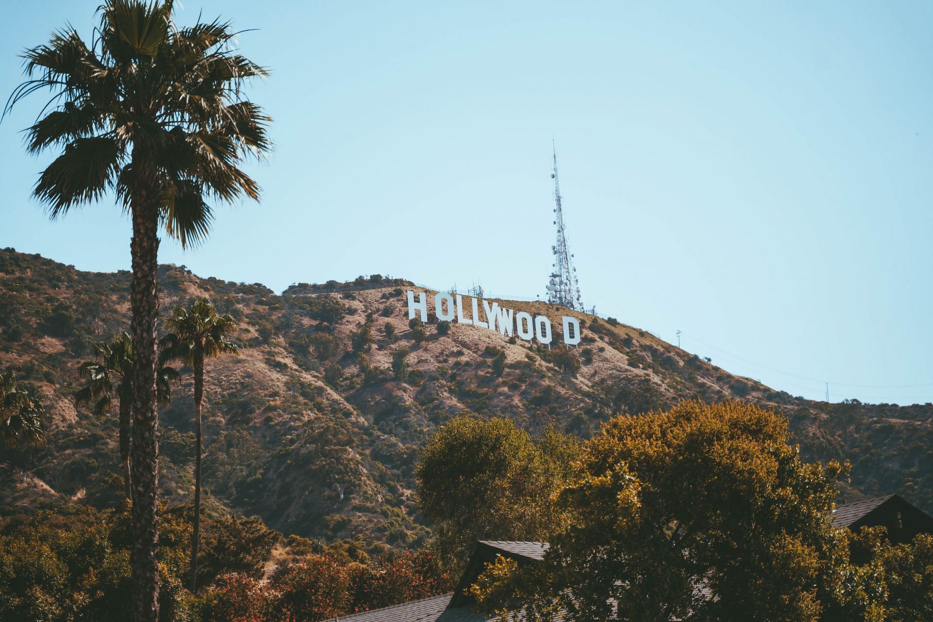 Behind the glitz and glamour of Hollywood, there are real people with mental health issues. (Image via Pexels/Alex Barnes)