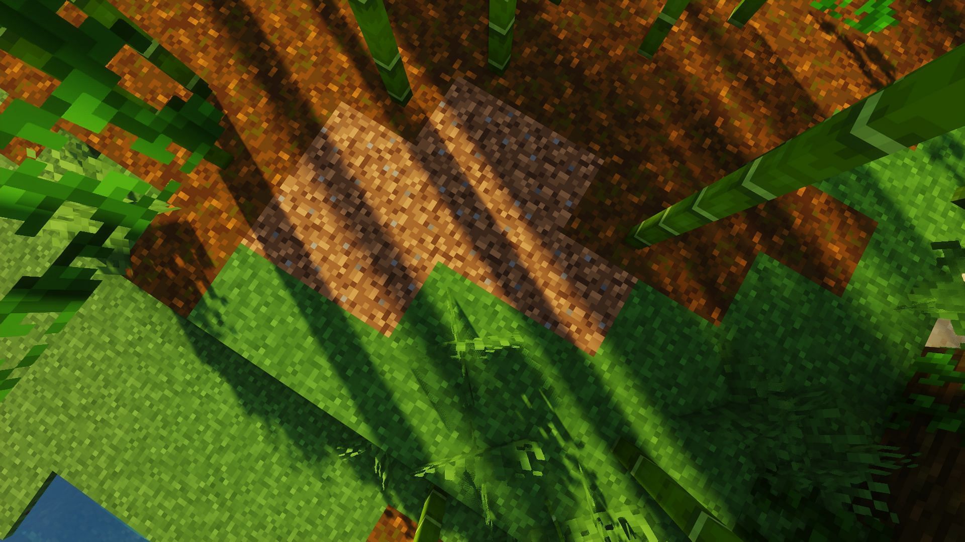 Plain dirt next to grass (Image via Minecraft)