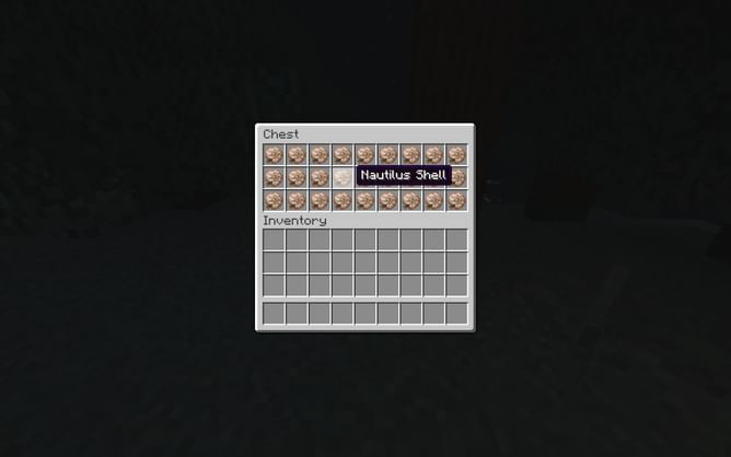 How rare are nautilus shells in Minecraft 1.19 update?