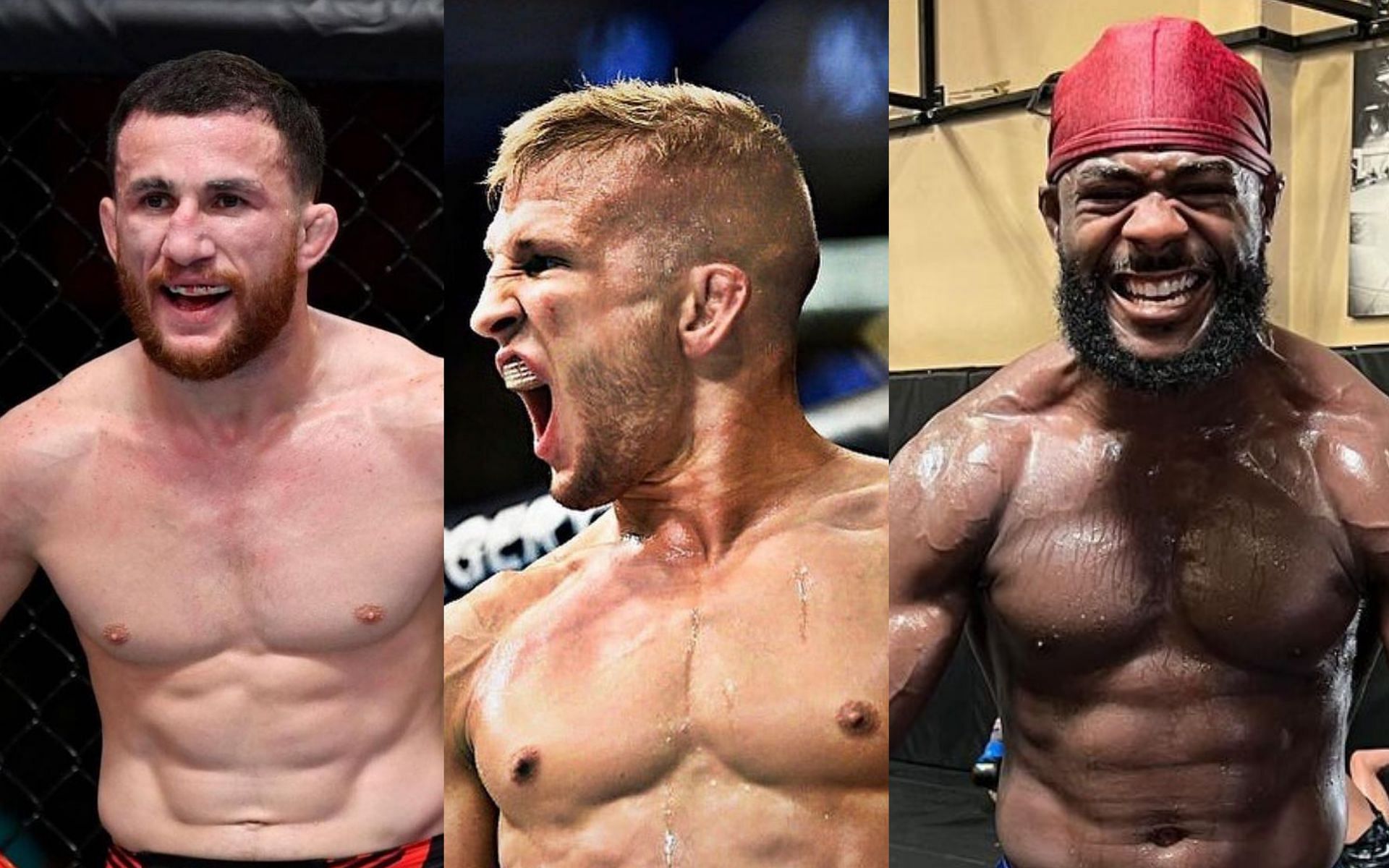 (L-R) Merab Dvalishvili, T.J. Dillashaw, and Aljamain Sterling [@merab.dvalishvili, @tjdillashaw, and @funkmastermma on Instagram]