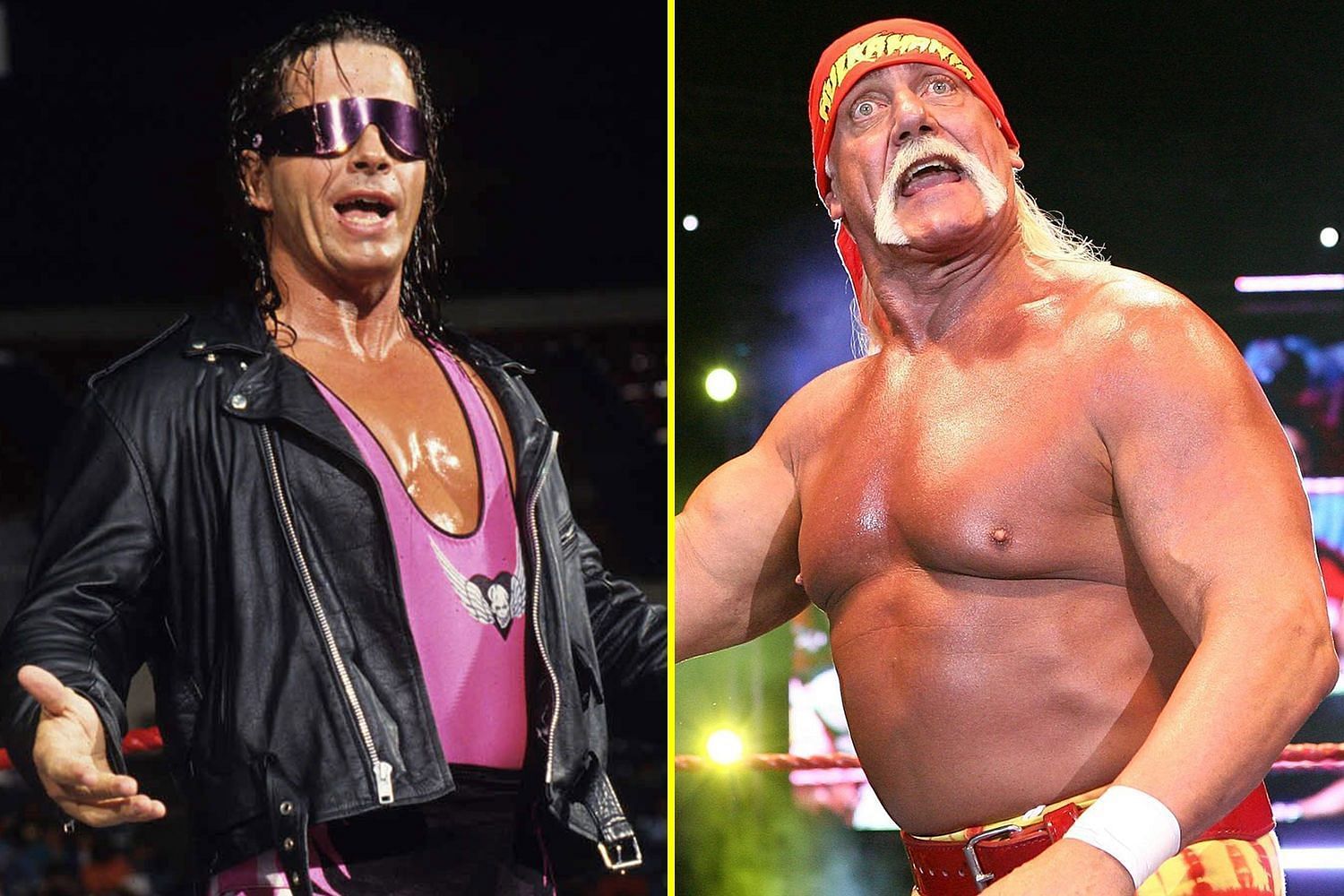 Bret Hart &amp; Hulk Hogan