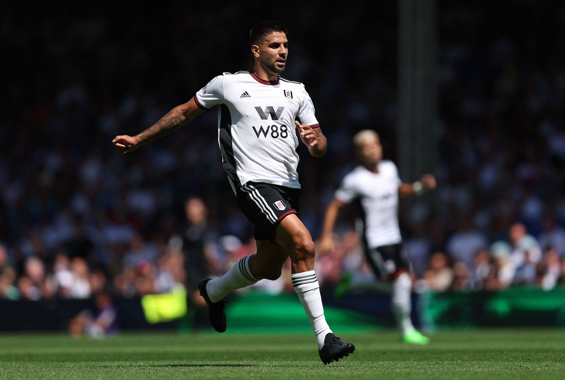 Aleksandar Mitrovic caught the eye with Fulham on opening day.