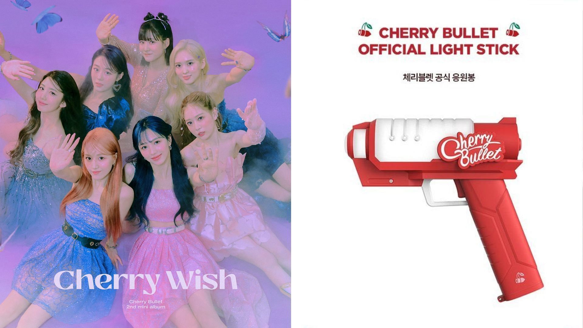 A Cherry Bullet fan gets in trouble with airport security due to the group&#039;s lightstick (Images via FNC Entertainmentt)