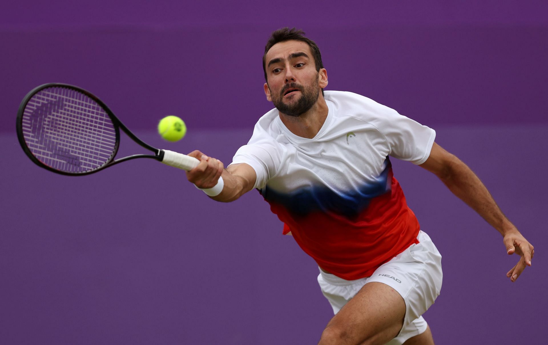 Cilic at the cinch Championships - Day Six