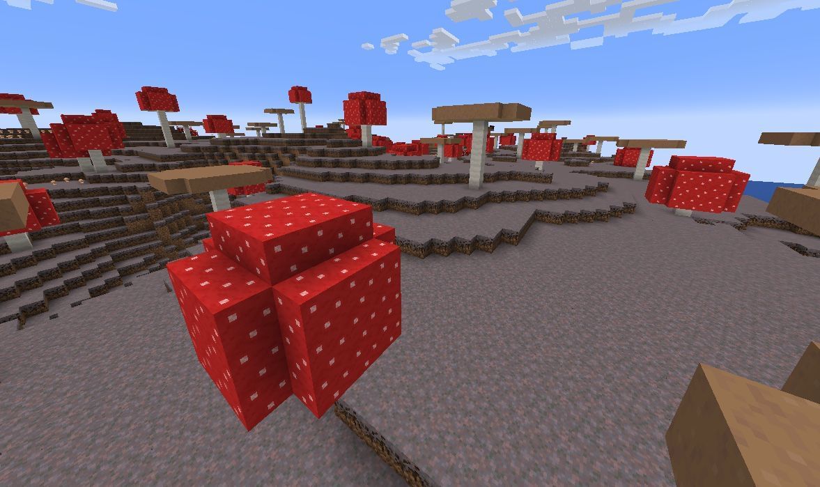 Mushroom Block in Minecraft