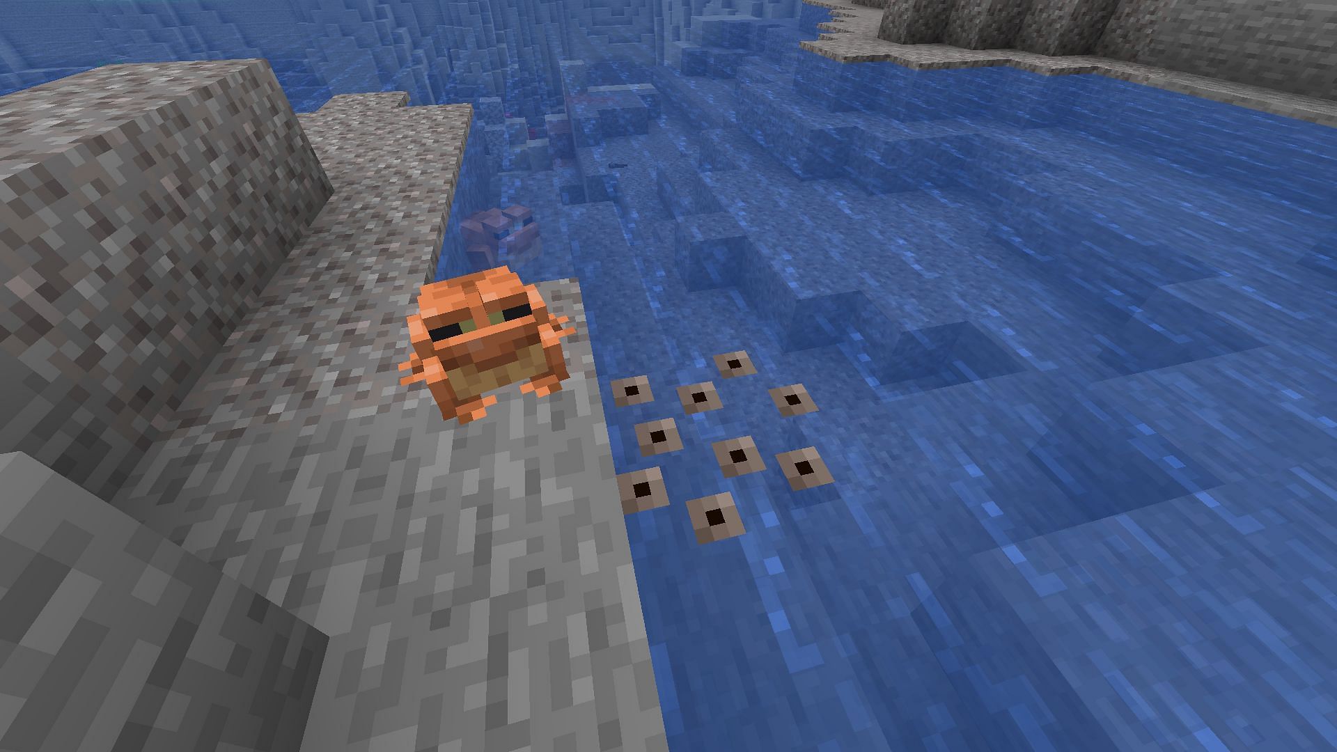 Green frogs can only spawn by manually growing a tadpole in a cold biome (Image via Minecraft)