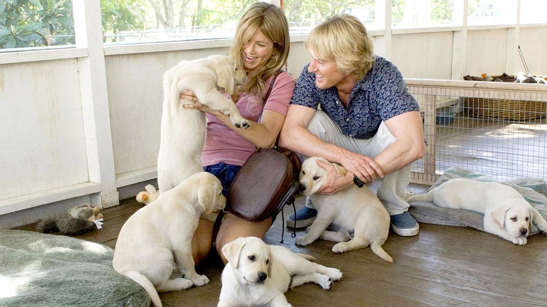 A still from Marley and Me (Image via Amazon)