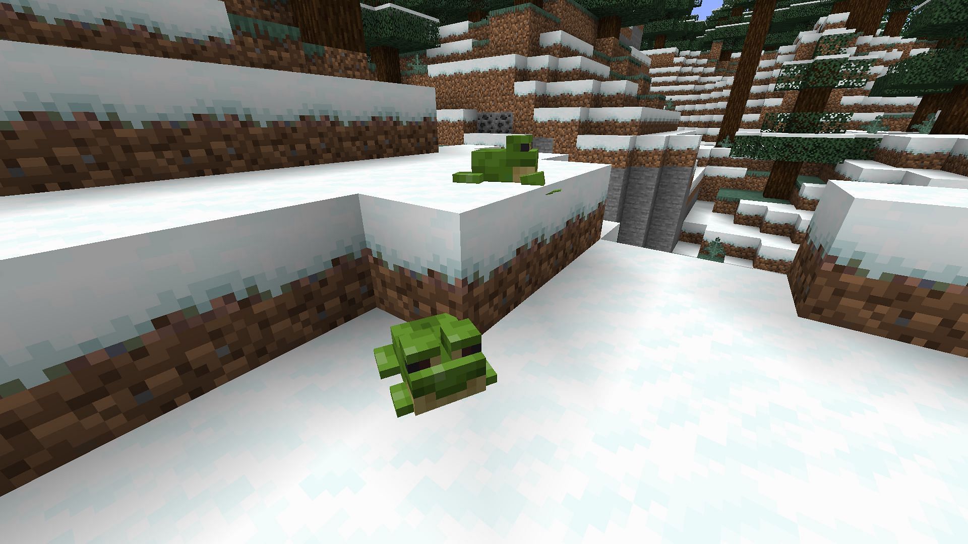 Green frogs spawn after tadpoles grow in cold biomes (Image via Minecraft 1.19)