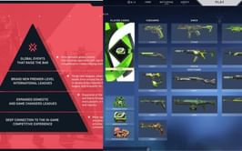 New Valorant professional team skins potentially confirmed