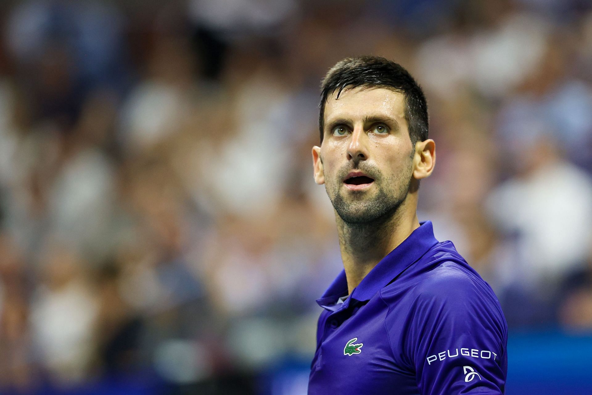 Novak Djokovic at the 2021 US Open