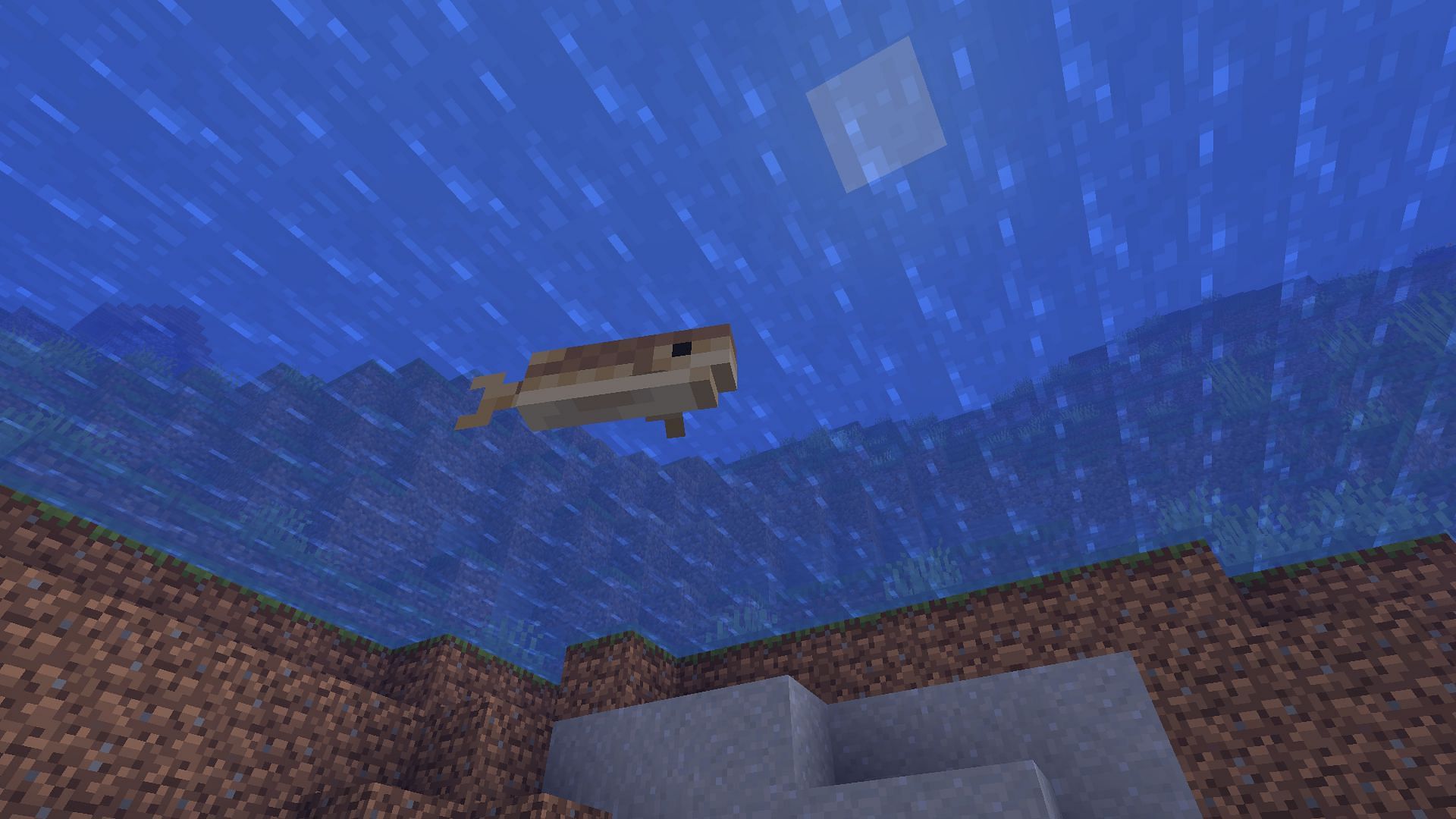 Cod has no special feature other than being used as a food item in Minecraft (Image via Mojang)