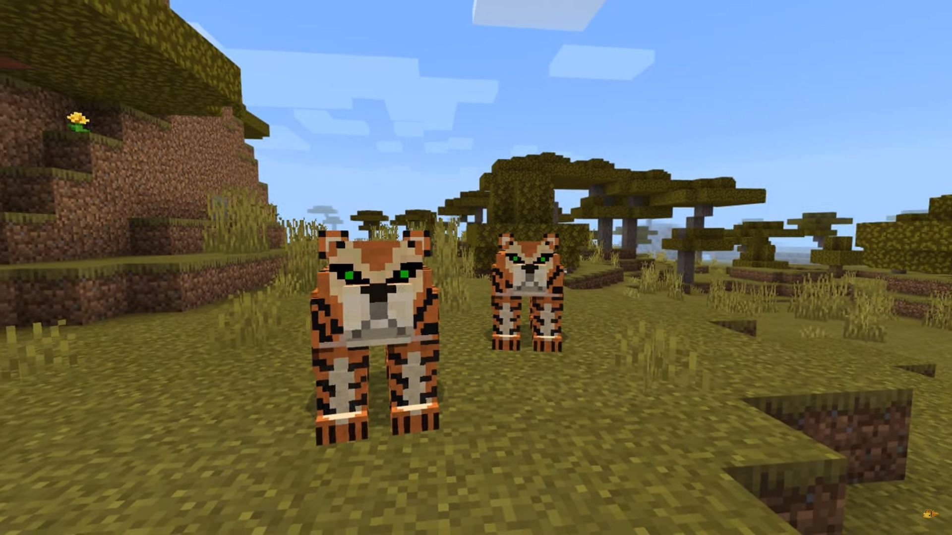 Tigers, one of the many mobs, added by the World Animals addon (Image via Minecraft)