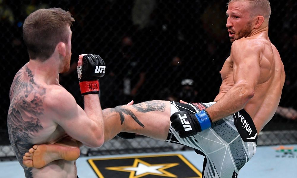 TJ Dillashaw showed no signs of ring rust in his bout with Cory Sandhagen