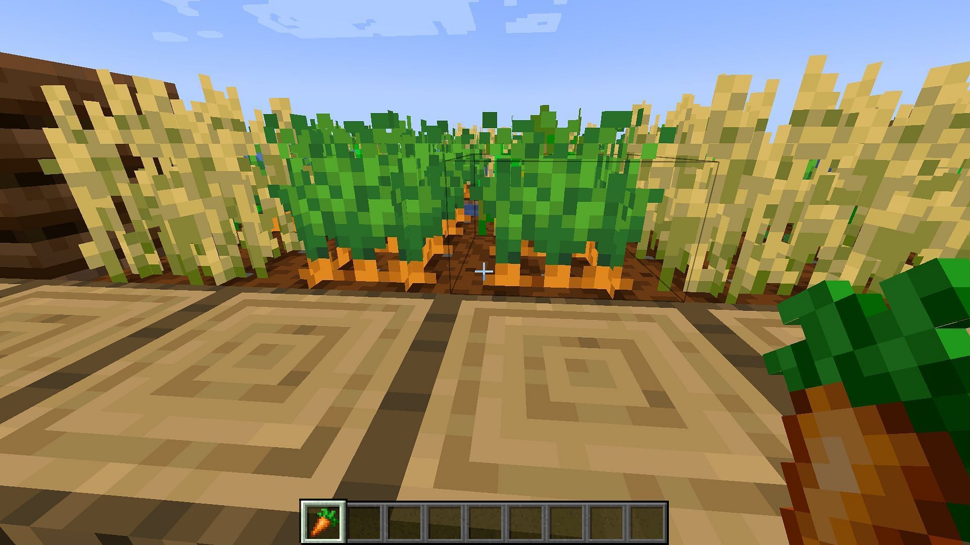A village farm is the best place to obtain carrots (Image via Minecraft 1.19)