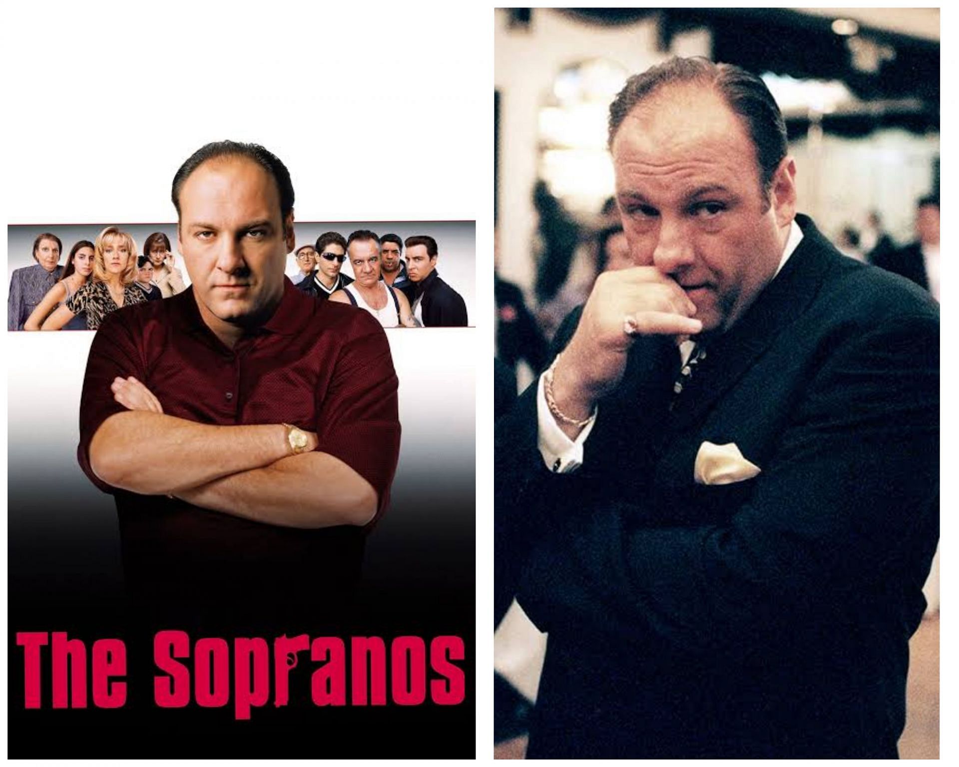 The Sopranos poster / A still of Tony Soprano (Images via HBO and IMDb)