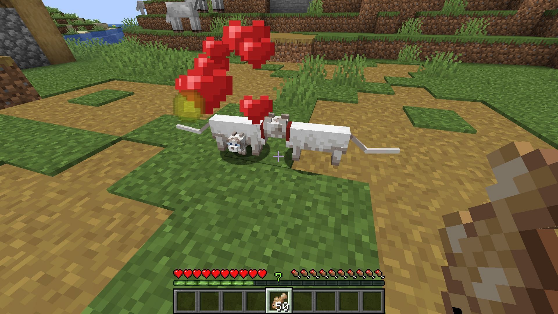 Two cats breeding right after getting tamed (Image via Minecraft 1.19 update)