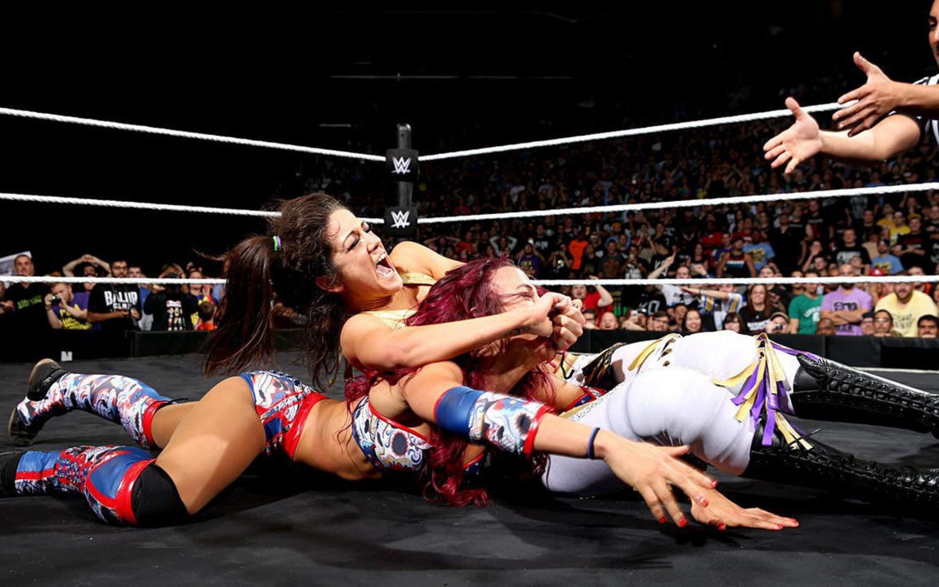 Bayley versus Sasha Banks for the NXT Women&#039;s Championship in 2015