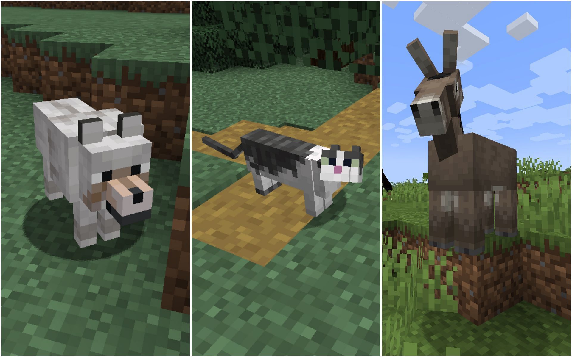 Some mobs can be tamed and kept as pets in Minecraft (Image via Sportskeeda)