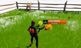 5 Fortnite things that were in-game for very little time