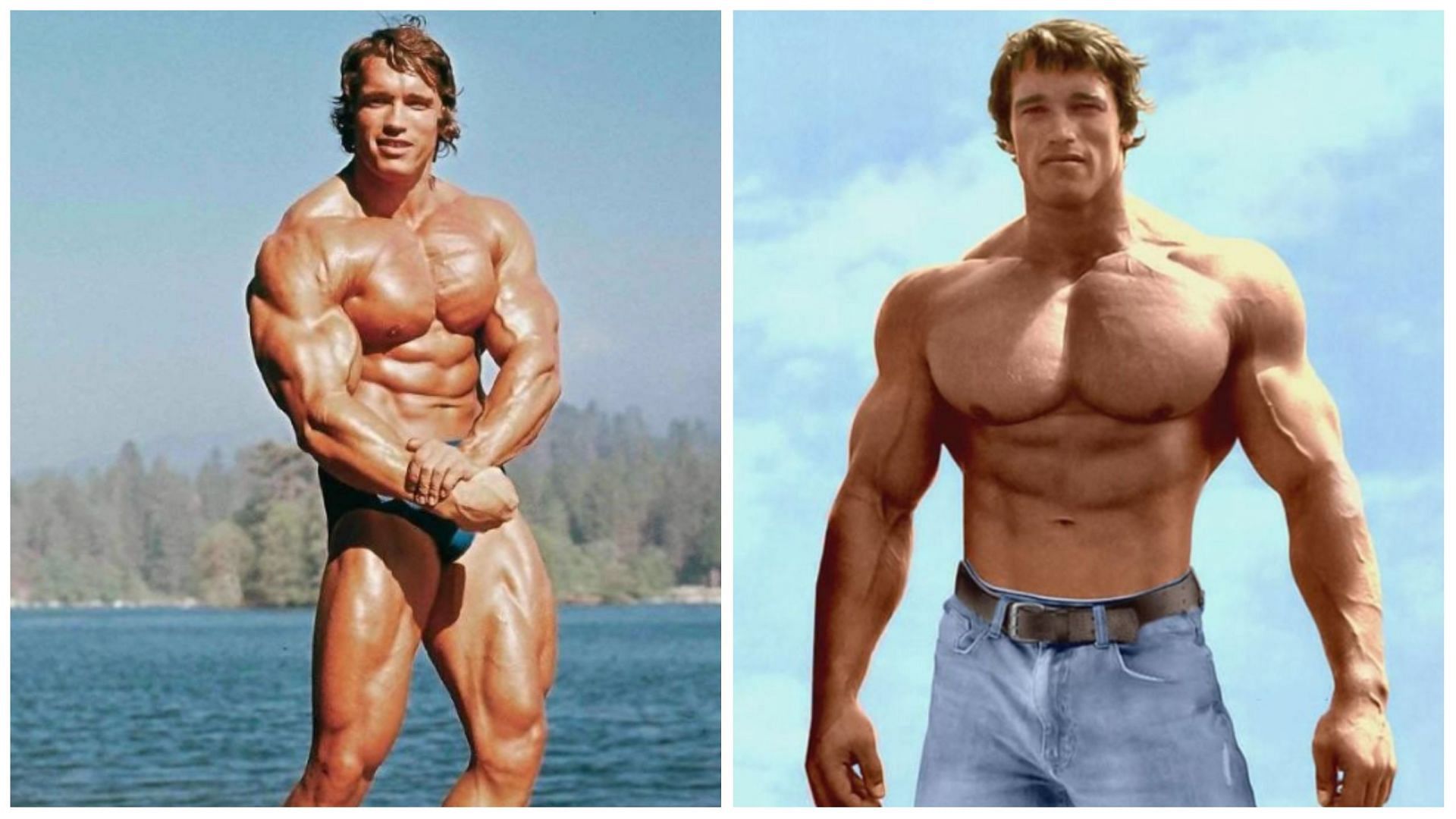 Arnold Schwarzenegger is a bodybuilding legend. (Image via IG @aidingallery / @rambo_2697)
