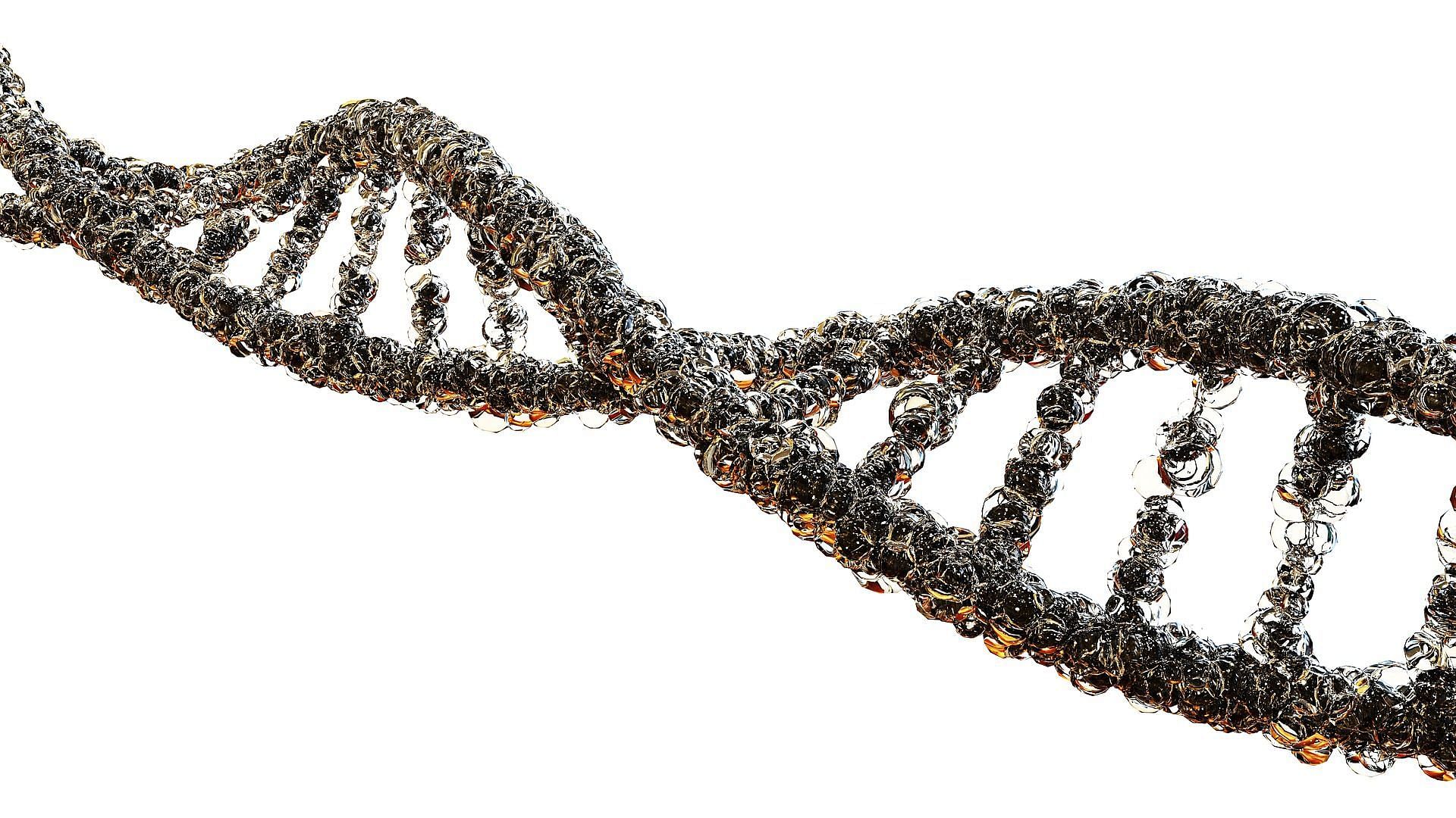 Genetics plays a major role in both physical and mental disorders. (Image via Pixabay/Cezary)