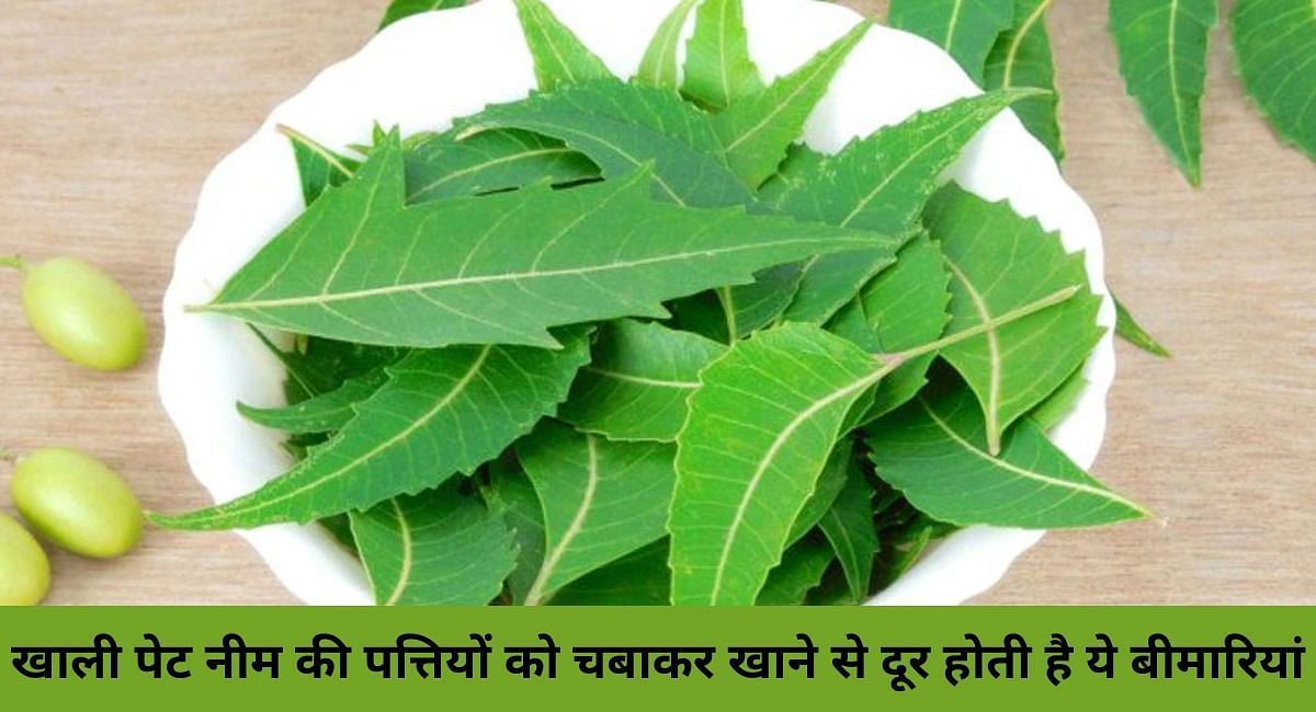 खाली पेट नीम की पत्तियों का चबाकर खाने से दूर होती है ये बीमारियां(फोटो-Sportskeeda hindi)