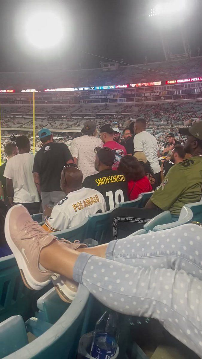 Video: Massive Brawl Erupts Among NFL Fans During Jaguars-Steelers Preseason  Game - 21.08.2022, Sputnik International