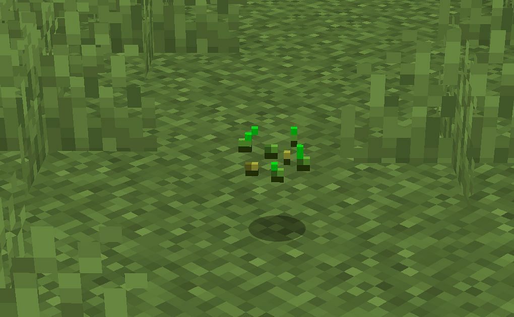 minecraft tall grass texture