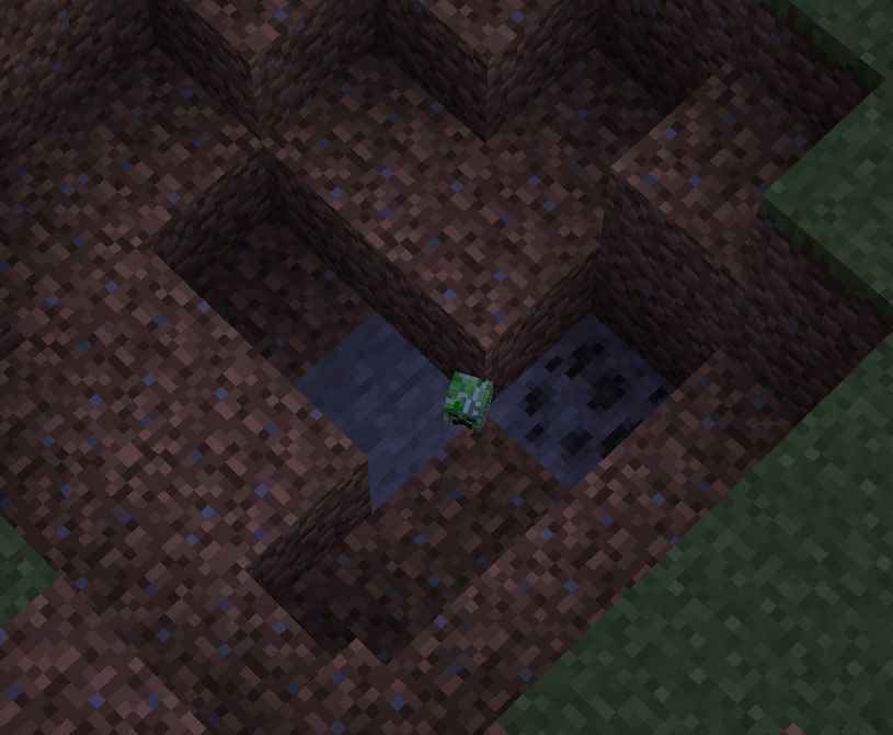 Creeper Head in Minecraft