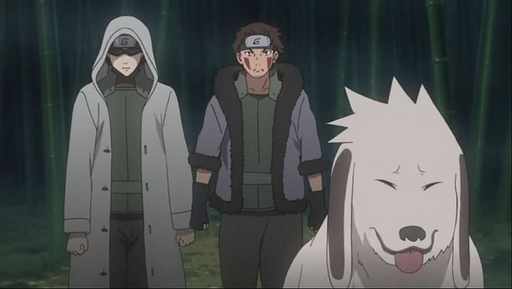 Who is Akamaru in Naruto?