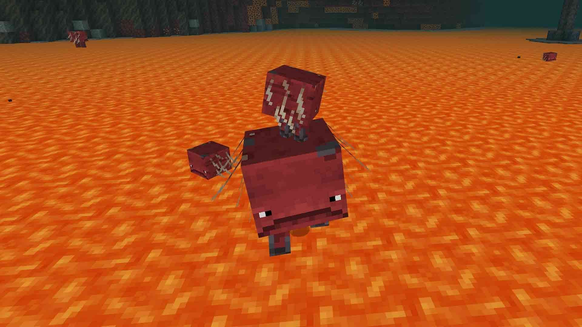 Striders live in the Nether (Image via Mojang)