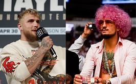 "The offer is out" - Jake Paul reveals to Sean O'Malley that he's likely returning in October against a big-name opponent