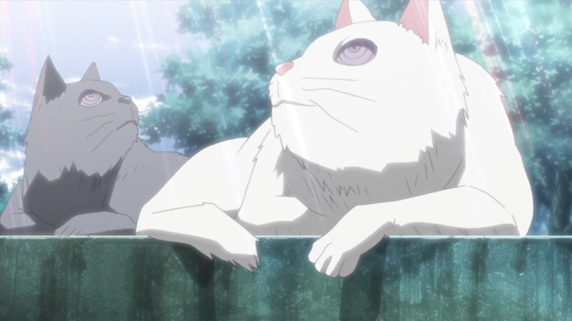 Normal cats affected by Genjutsu (Image via Pierrot)