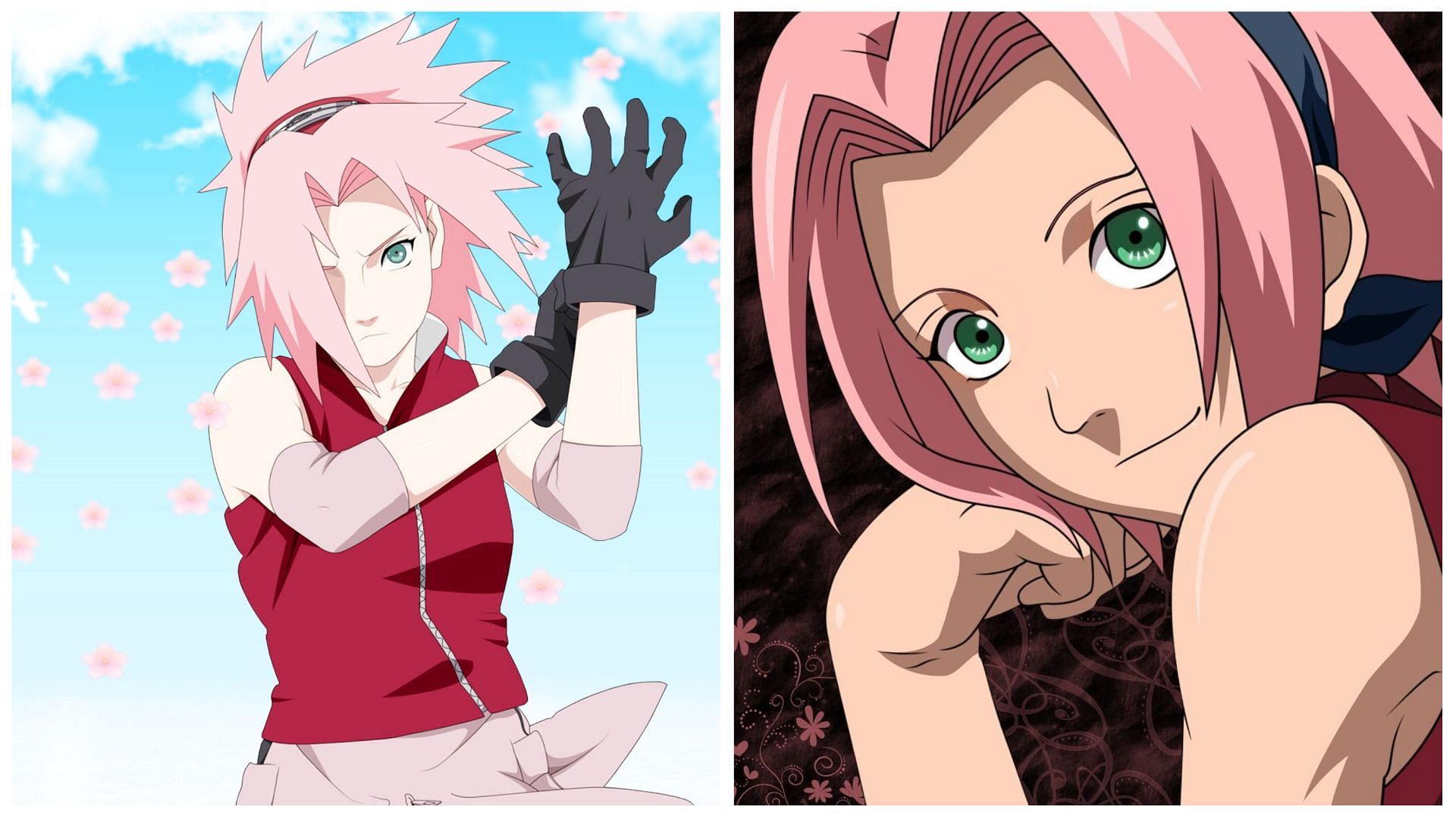 Sakura from the anime, Naruto (Images via Studio Pierrot)