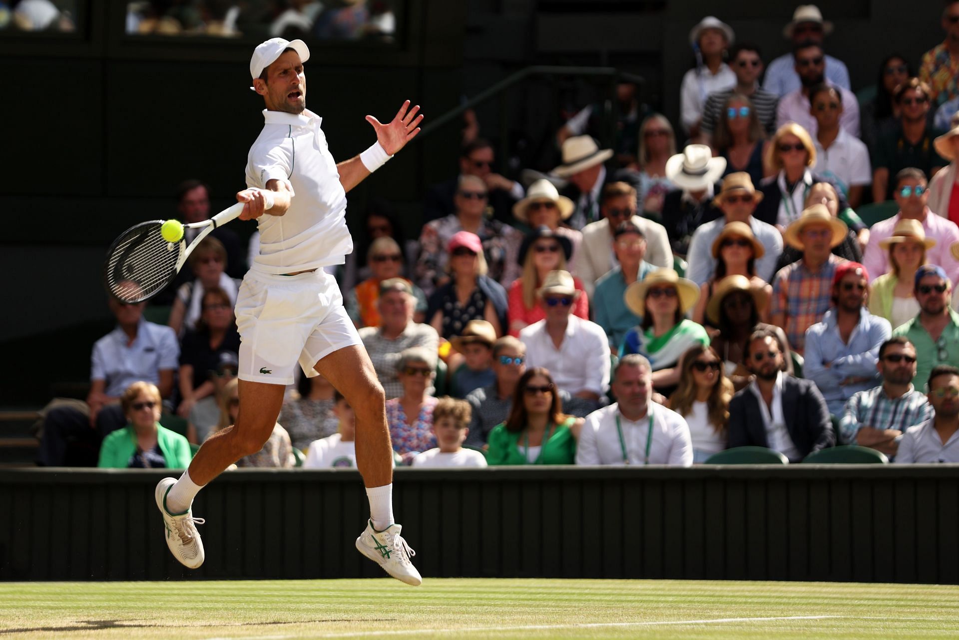 Novak Djokovic at the Wimbledon 2022. (Pic: Getty Images)