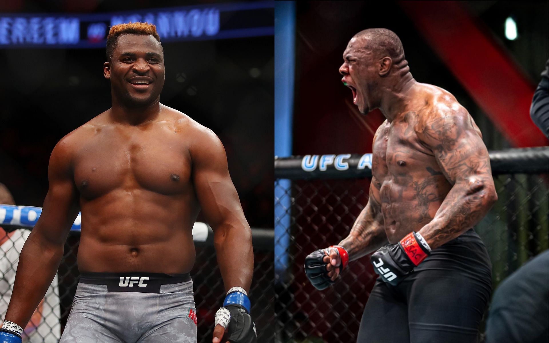 Francis Ngannou Mohammed Usman to the UFC heavyweight division