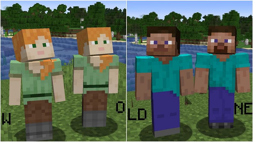 What are the stories behind your minecraft skins?