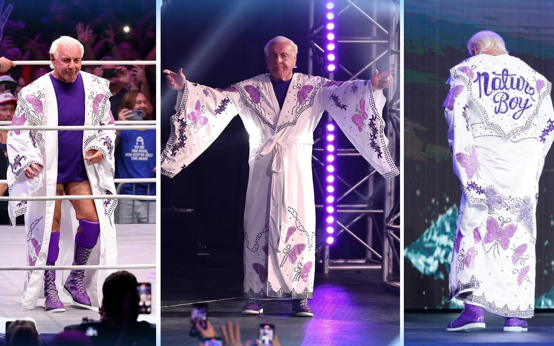 WWE Hall of Famer Ric Flair during his last match
