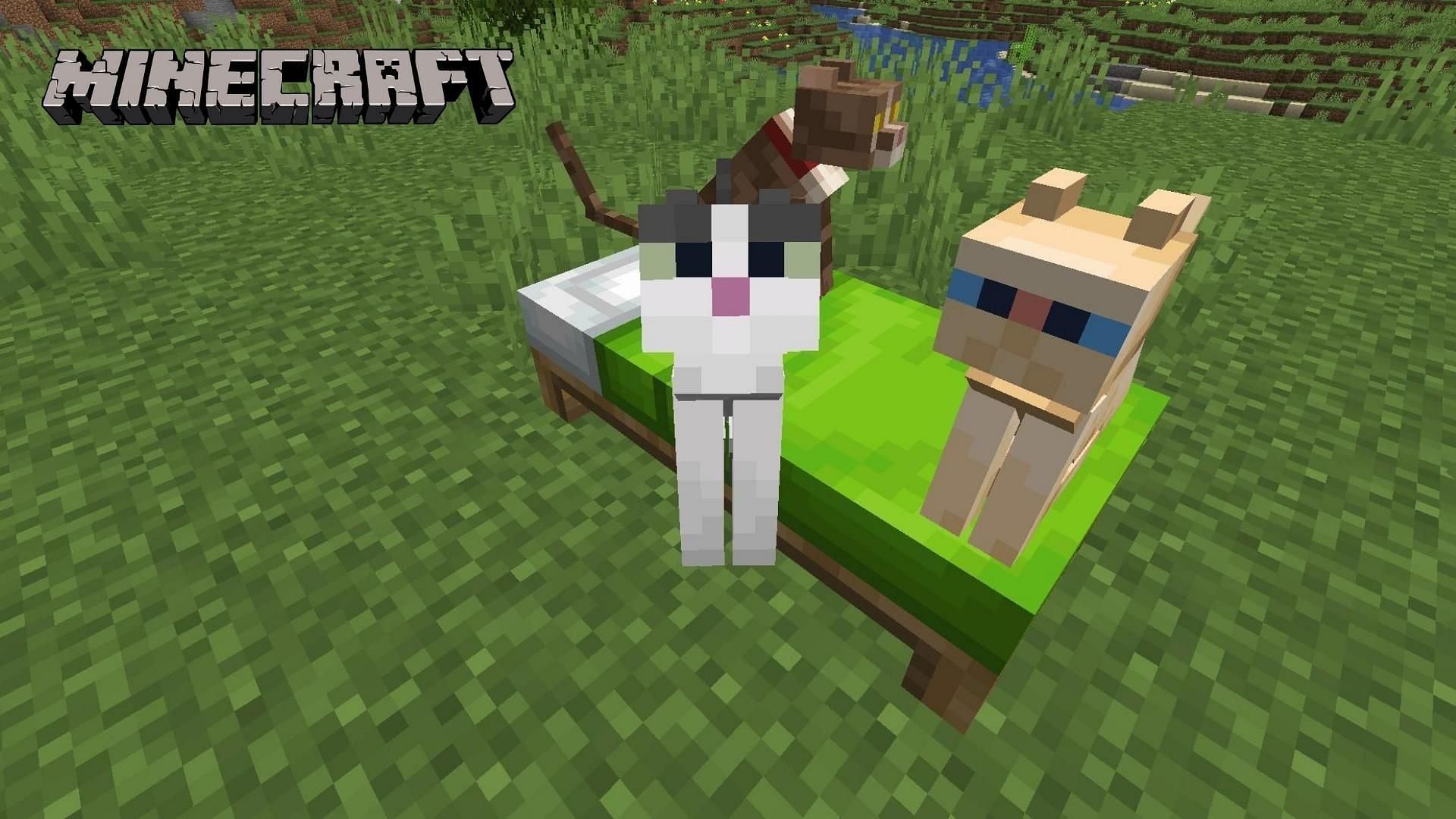 Cats are one of the cutest mobs that every Minecraft player cannot get enough of (Image via Mojang)