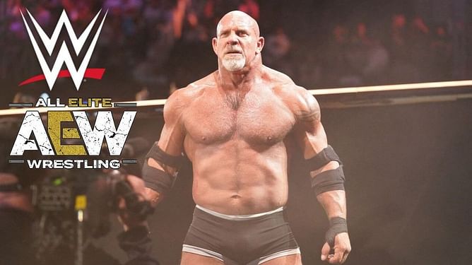 "This is not like the Goldberg match" - Wrestling legend downplays major AEW match living up to WWE standards