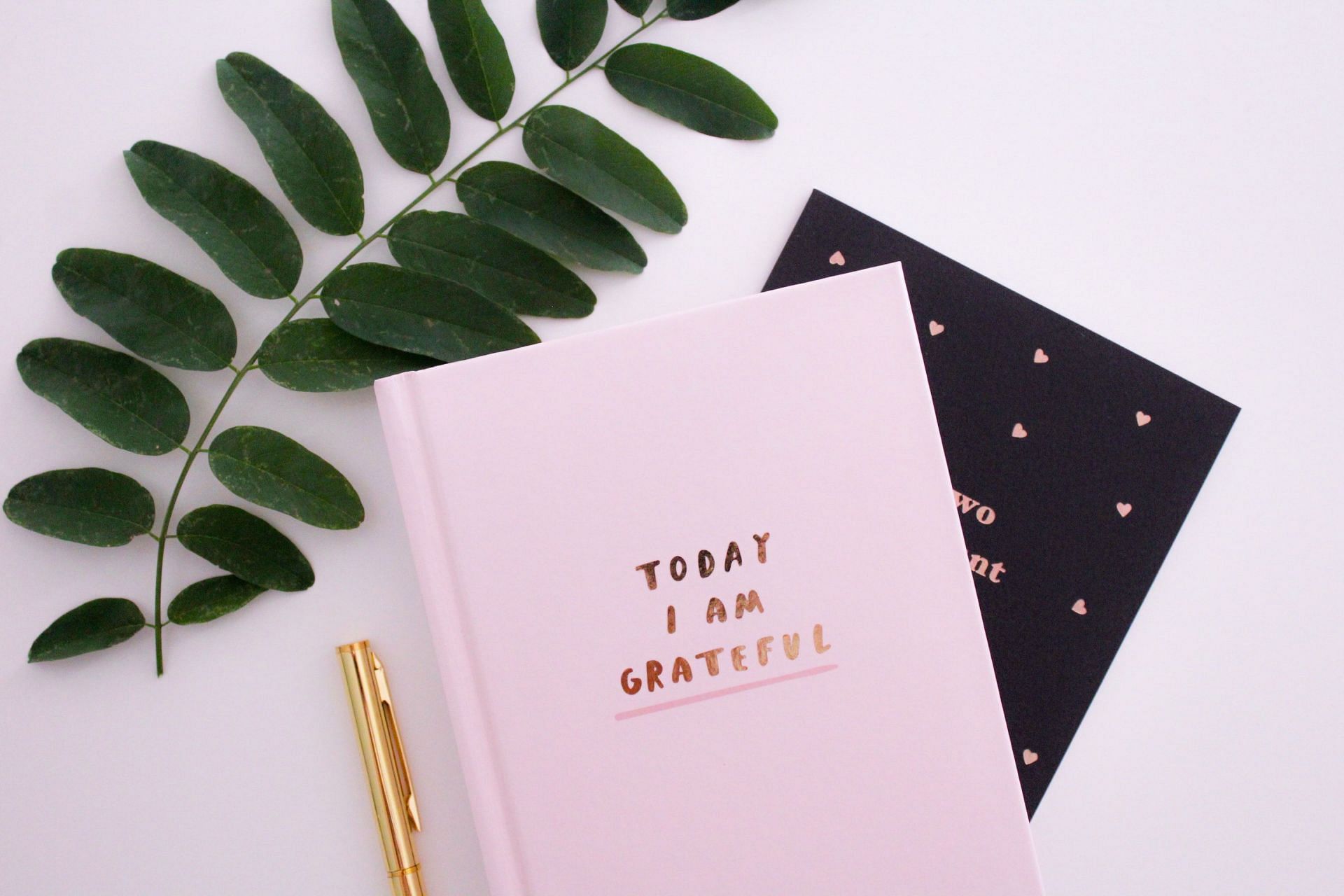 Gratitude journals are an underrated tool to achieve better mental well being ( Image via unsplash/ Gabrielle Henderson)