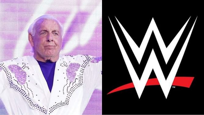 Ric Flair gives honest thoughts on working with former WWE star for his last match