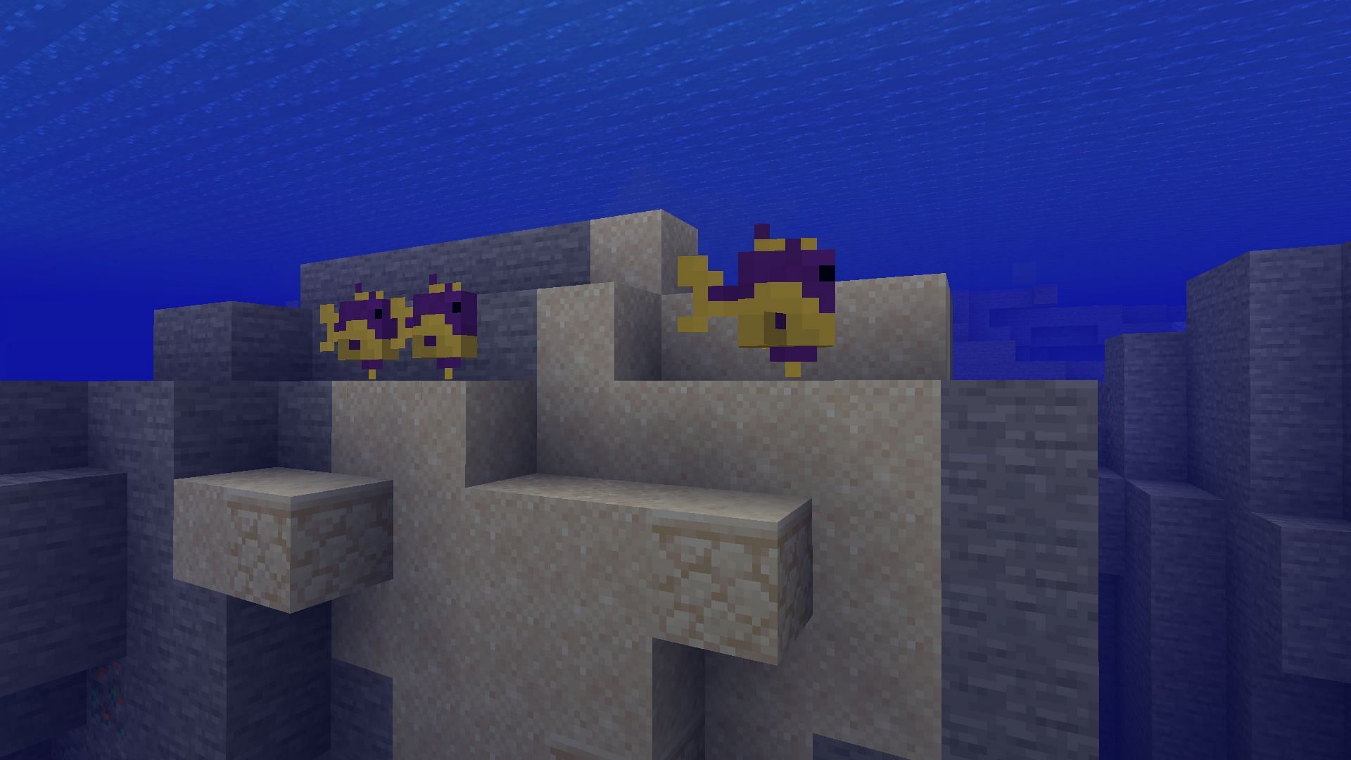 Tropical fish are abundant in warm ocean biomes in Minecraft (Image via Mojang)