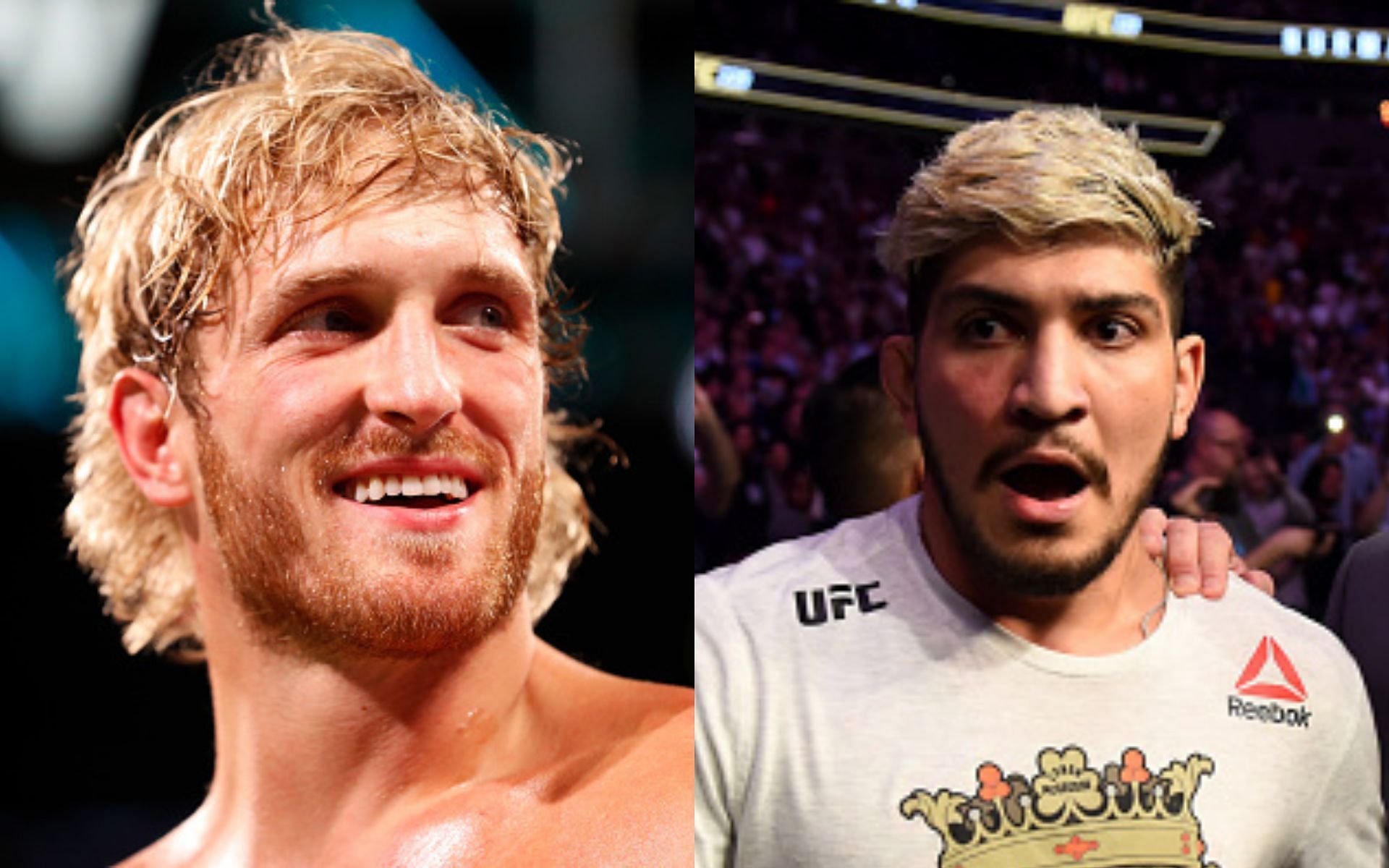 Logan Paul (left), Dillon Danis (right)