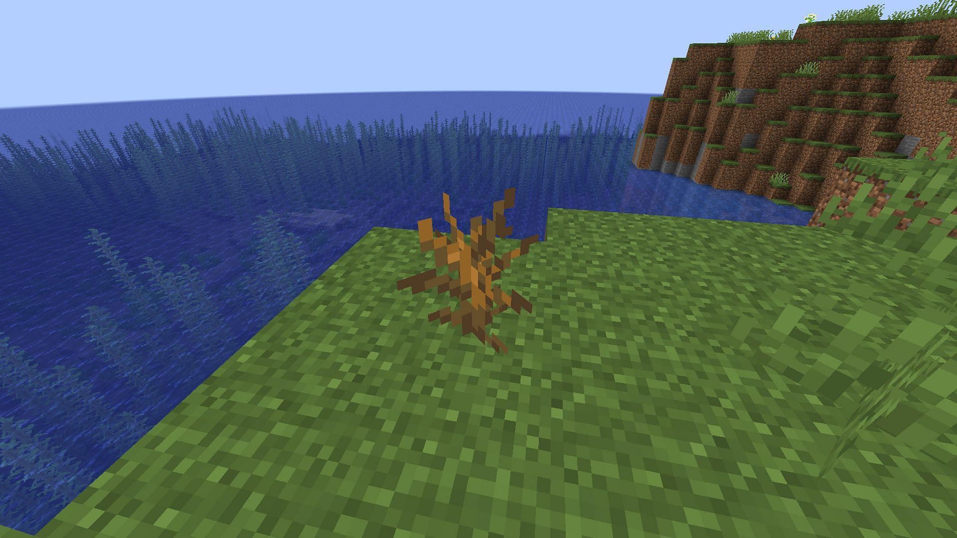 Dead Bush can only drop a couple of sticks in Minecraft (Image via Mojang)