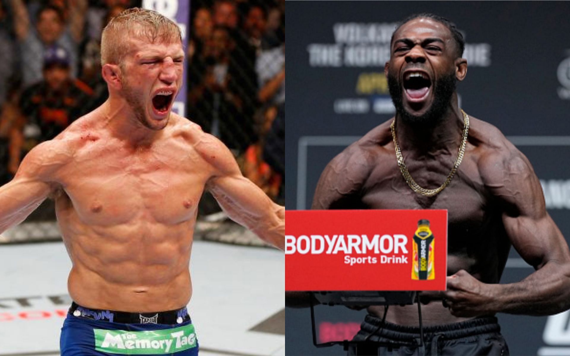 T.J. Dillashaw (left. Image credit: UFC.com), Aljamain Sterling 