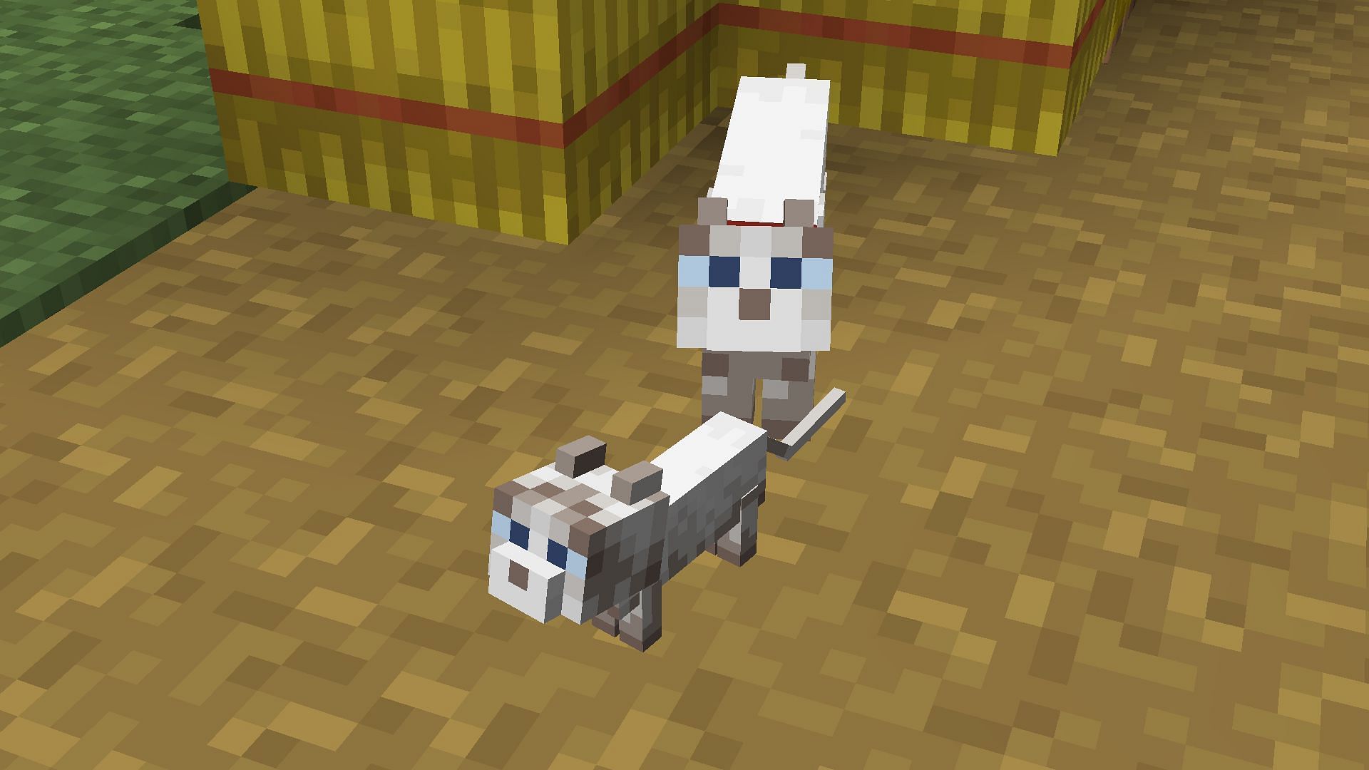 A kitten with an adult cat (Image via Minecraft 1.19 update)