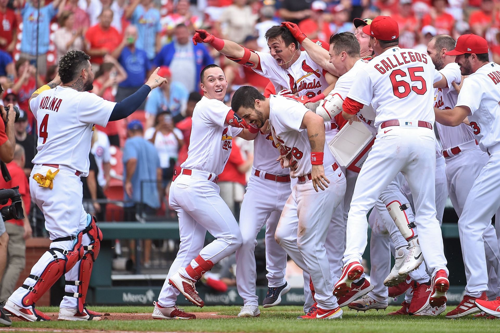 St. Louis Cardinals on X: Your 2022 NL Central Champions! #STLCards