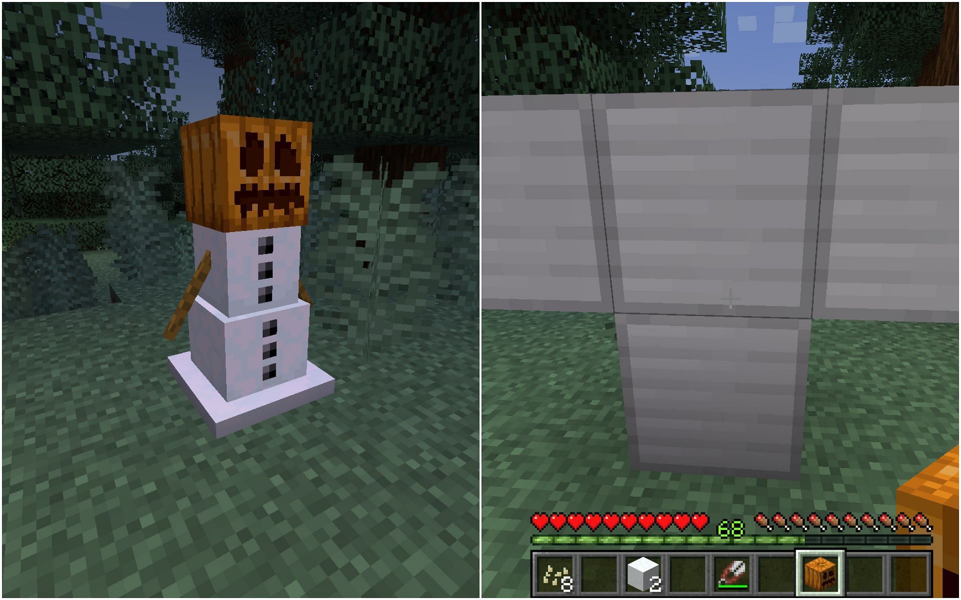 Create snow and iron golem with carved pumpkins (Image via Minecraft 1.19 update)