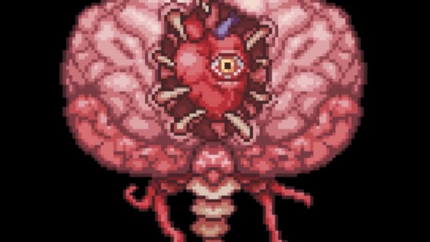 brain of cthulhu terraria